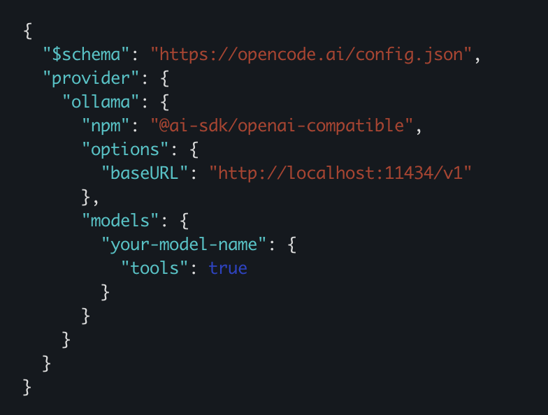 OpenCode configuration JSON file showing provider settings